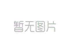 中国专家在结合国人权理事会就暴力损害儿童成